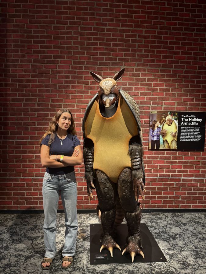 The friends experience